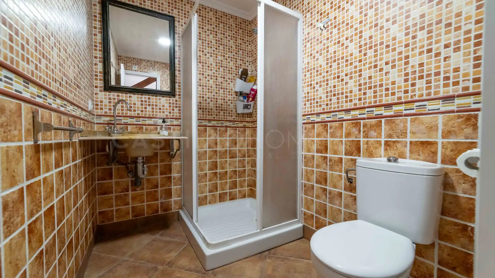Bathroom of Detached homes for sale in Torrevieja  with Terrace, Furnished and Oven