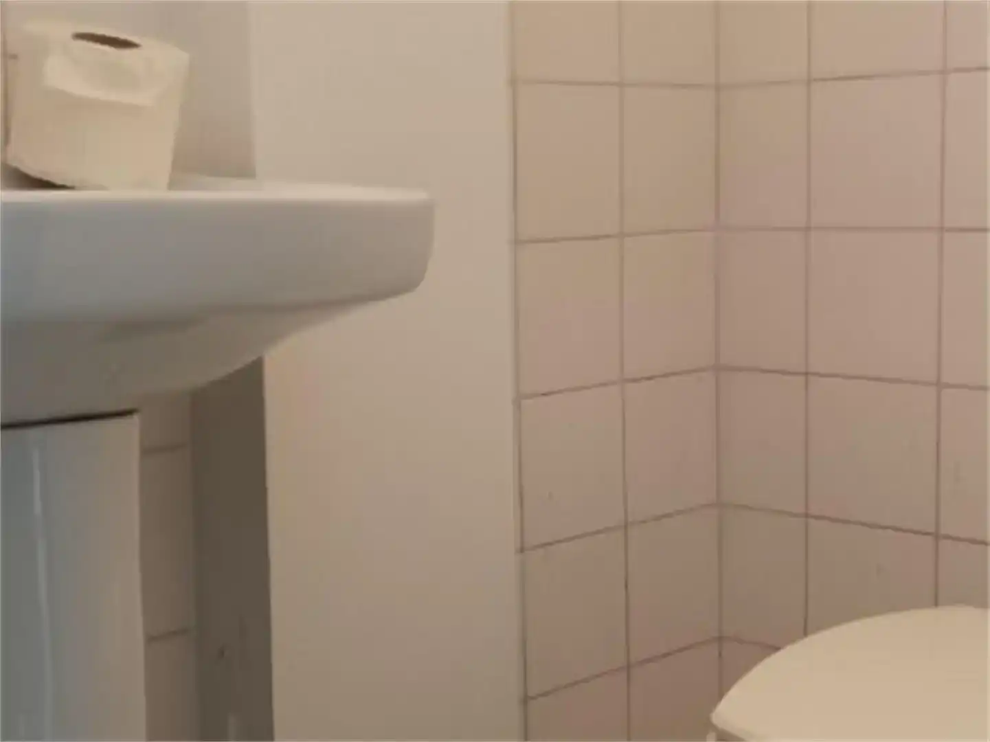 Bathroom of Commercial properties for sale in Noia