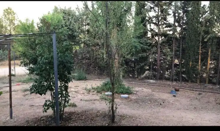 Casa amb jardí en venda a Del Guindo, imagen 14