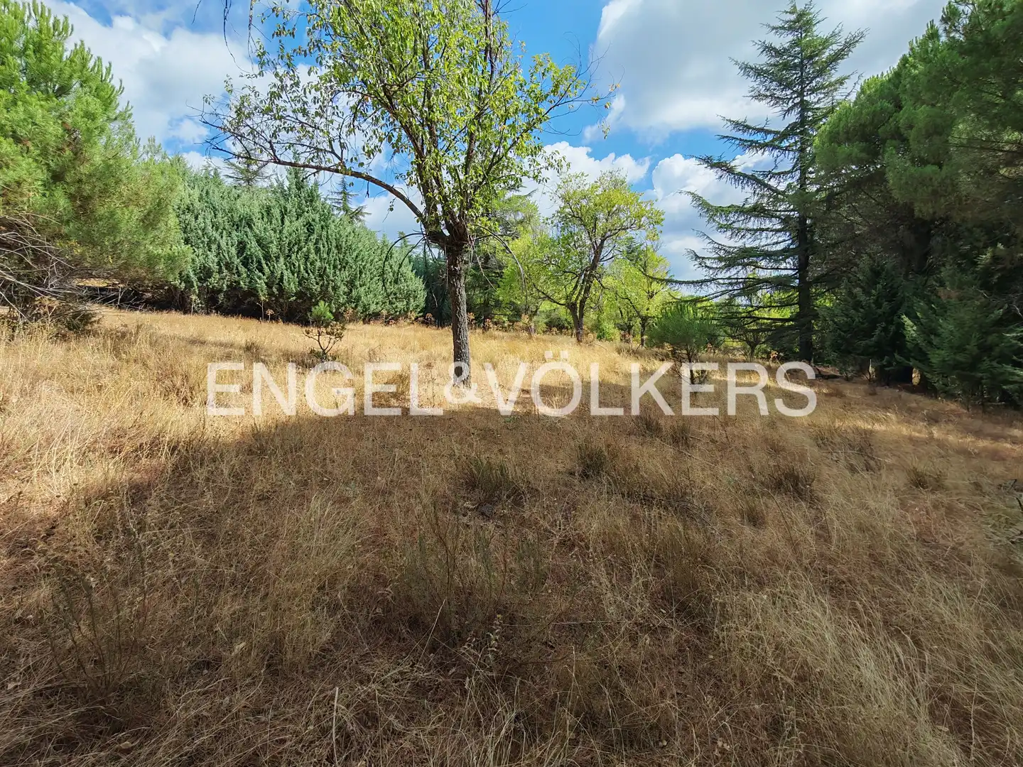 Residential land for sale in Collado Mediano, imagen 13