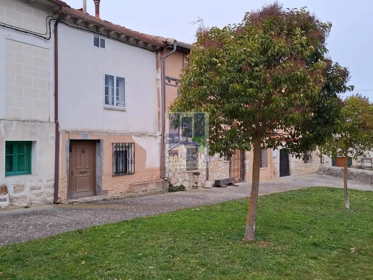 Vista exterior de Casa o xalet en venda en Arlanzón