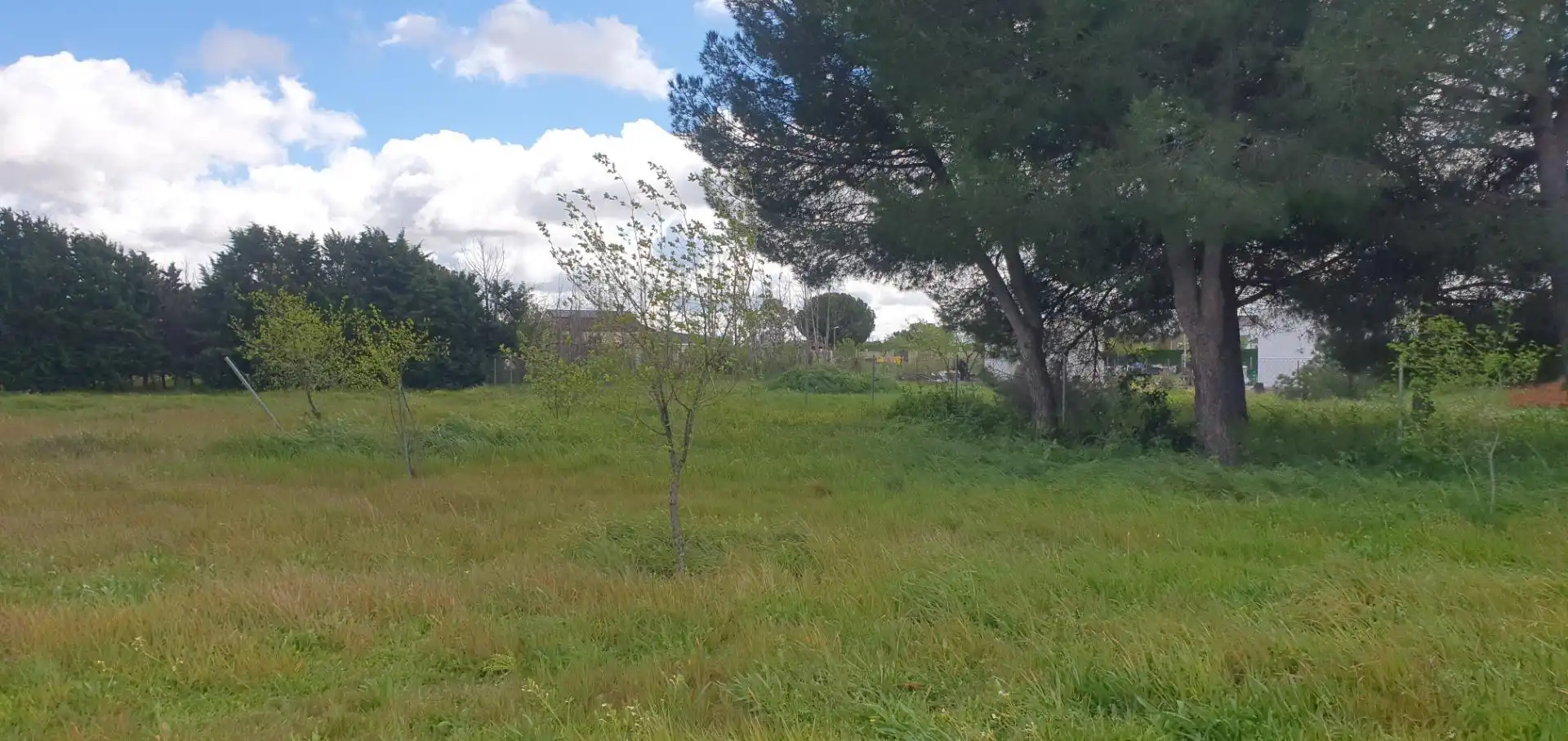 Terreno residenziale in vendita a Calle AZUL DE MAR, imagen 5