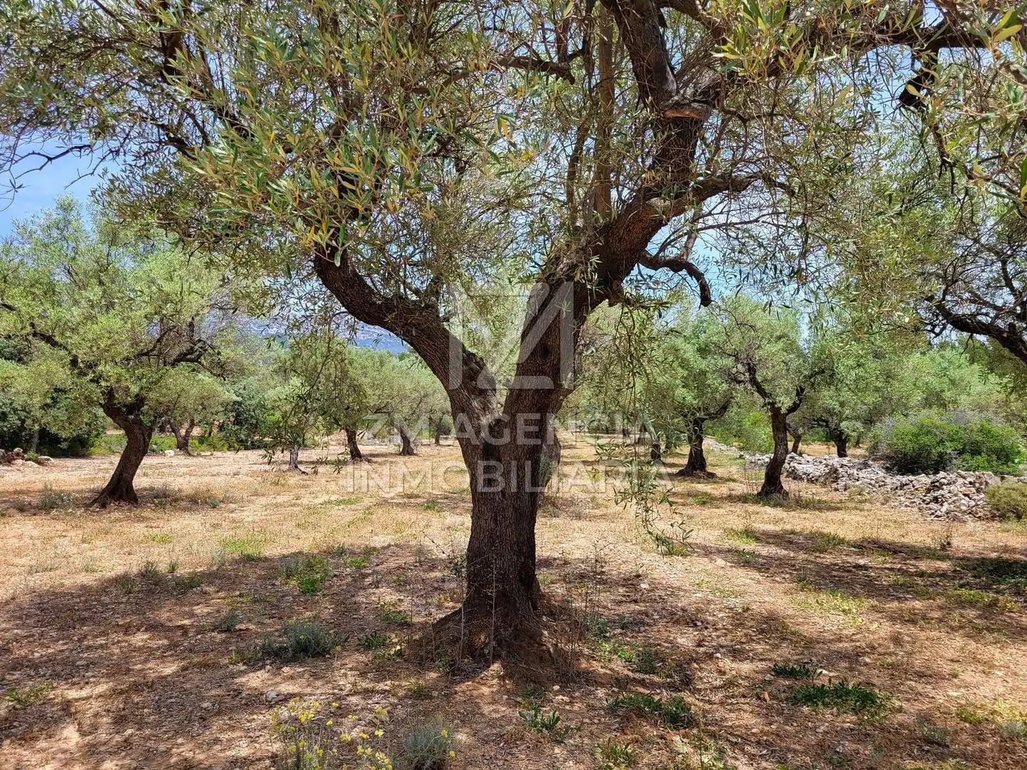 Terreno rustico in vendita a Canet lo Roig, imagen 35