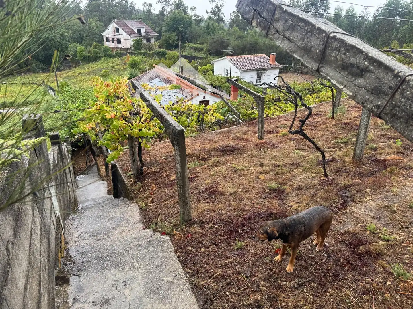 Villa zum Verkauf in Ponteareas, imagen 17