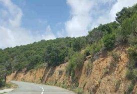 Land for sale in Tossa de Mar