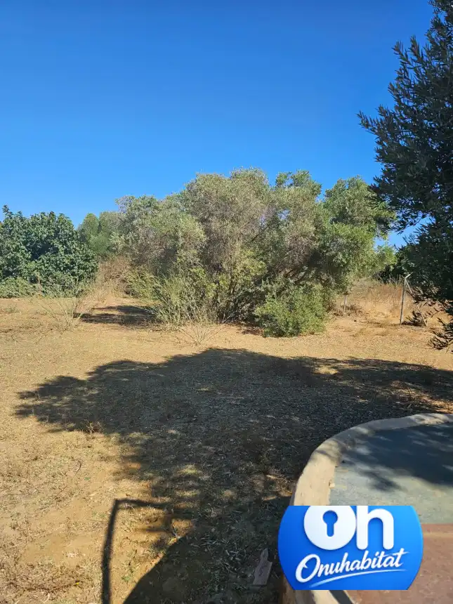 Terrenos y solares en venta en Gibraleón, imagen 6