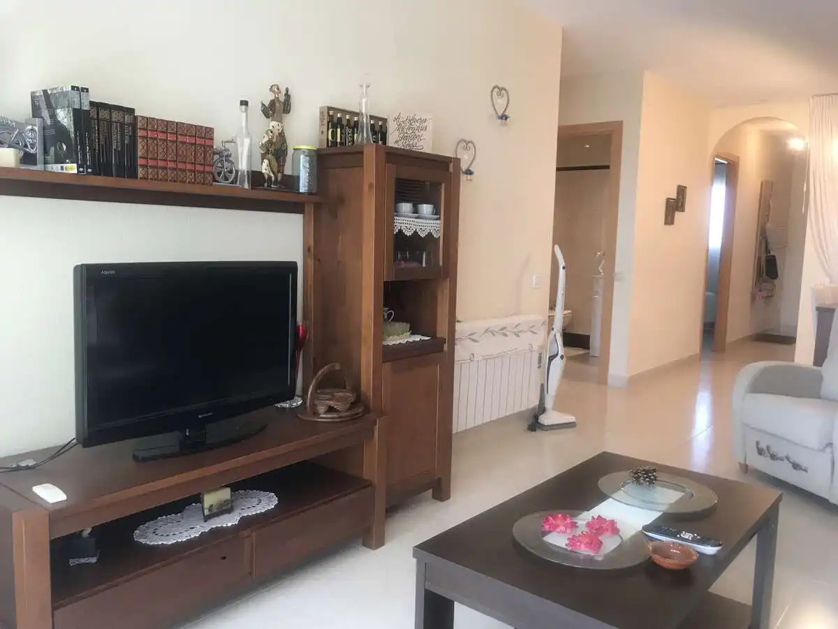 Sala de estar de Apartamento de alquiler en Vinaròs