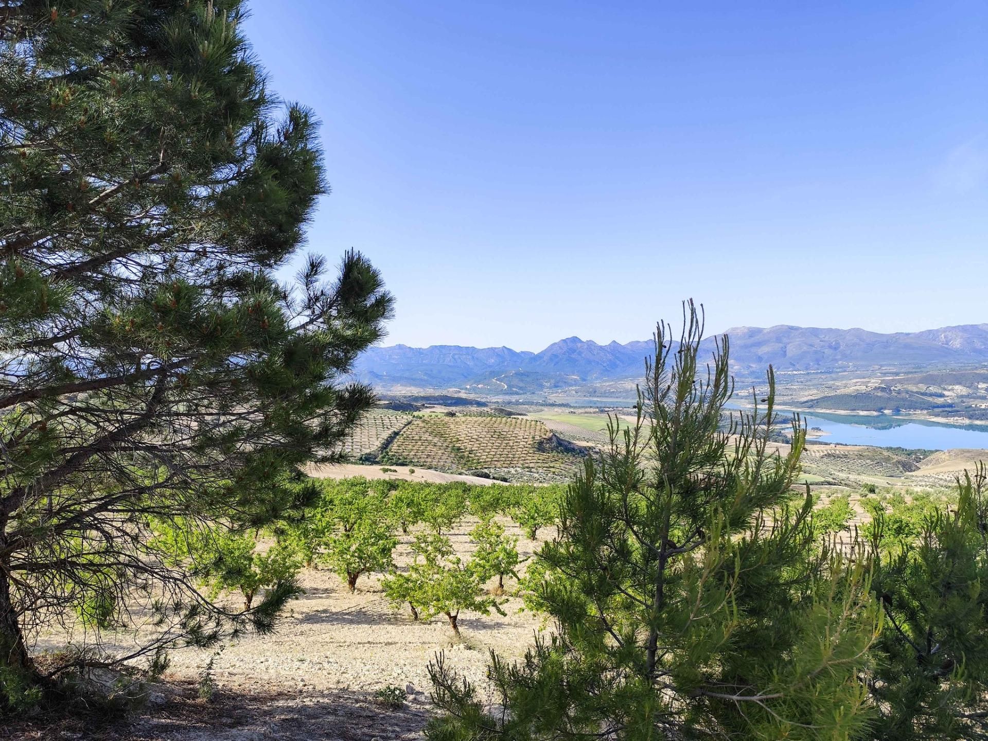 Exterior view of Land for sale in Cacín