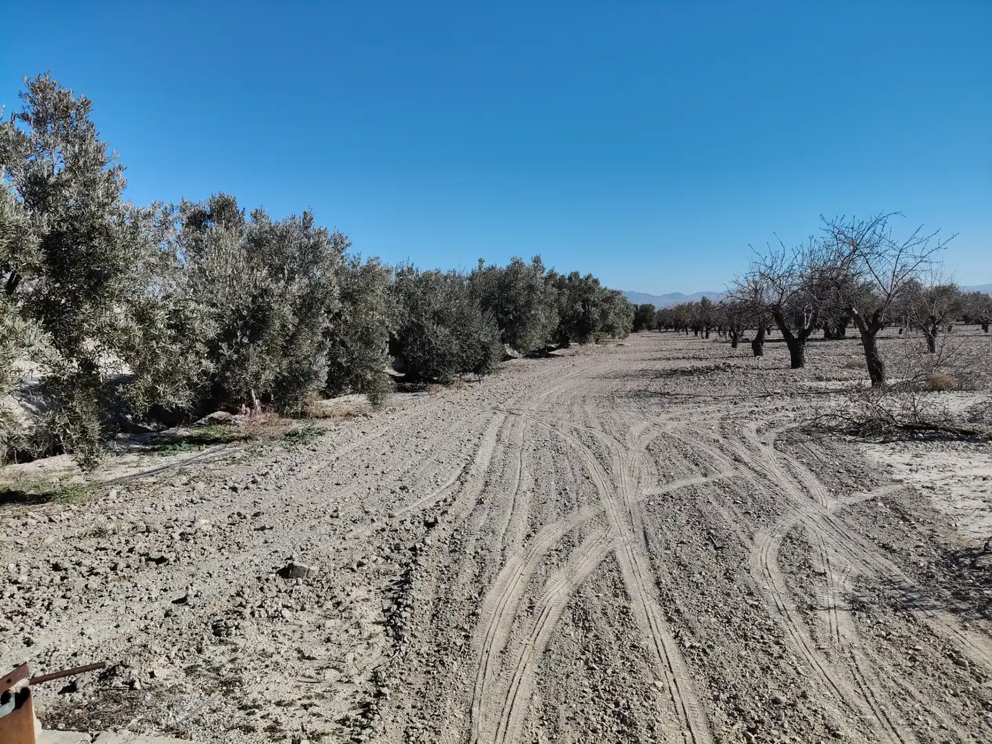 Terreno rústico en venta en Cortes de Baza, imagen 6