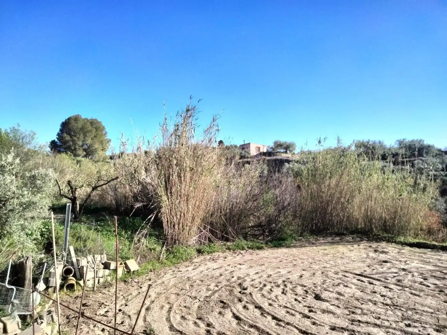 Terrenys i solars en venda a Bullas, imagen 10
