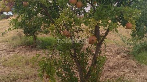 Finca ecológica 5 ha con vivienda reformada
