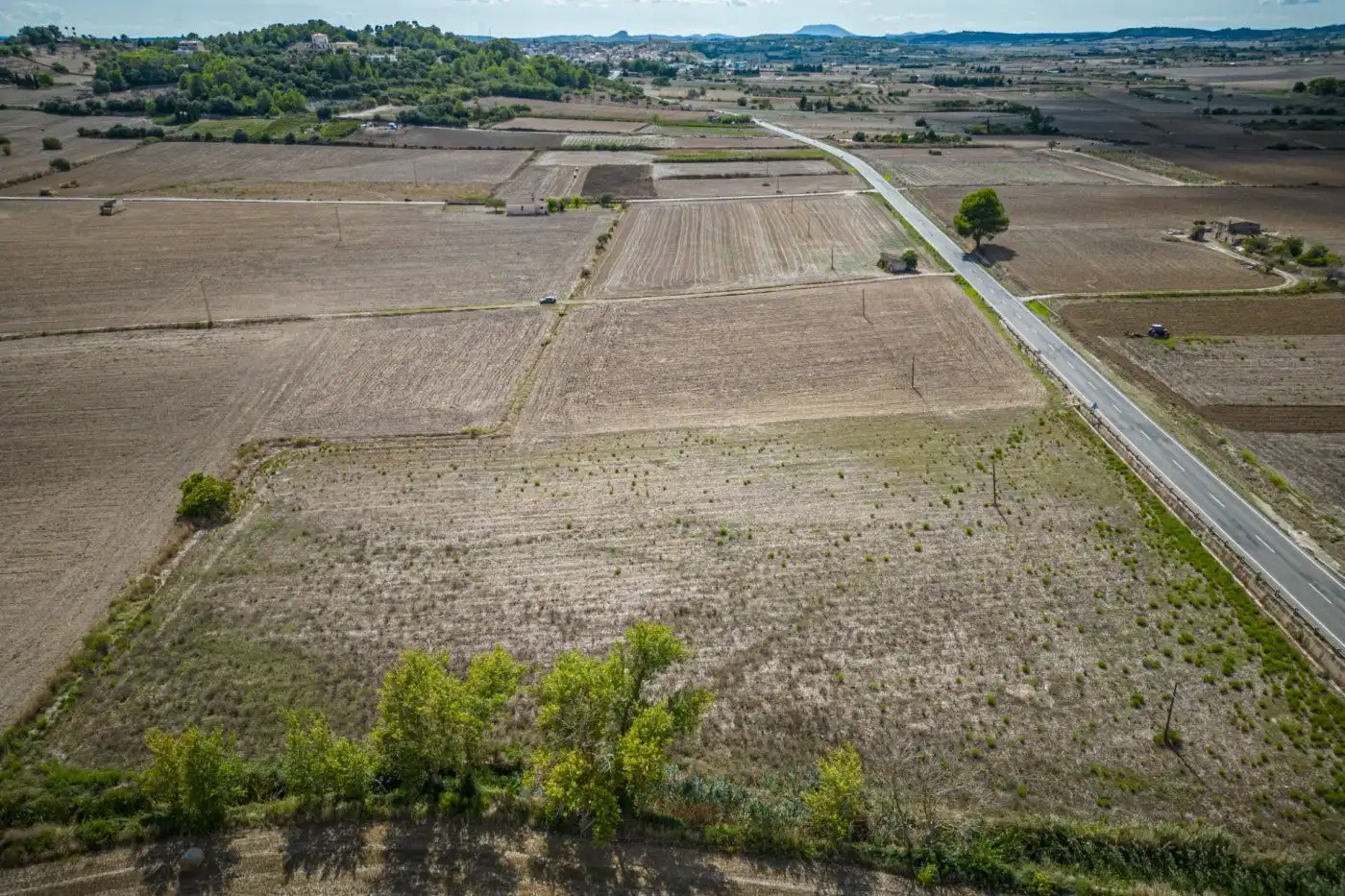 Terreno rustico in vendita a Santa Margalida Poble, imagen 8