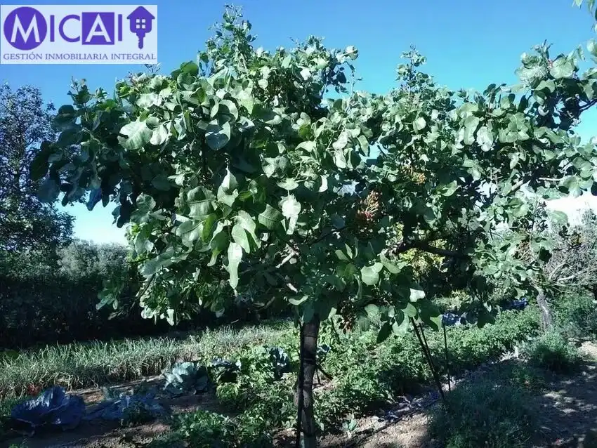 Jardí de Casa o xalet en venda en Puerto Real amb Aire condicionat, Jardí privat i Terrassa