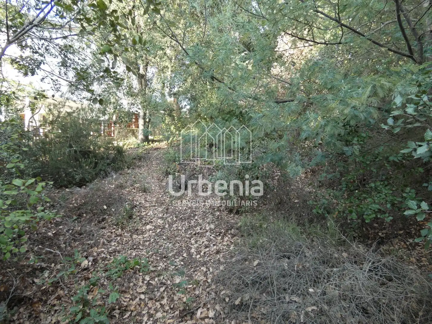 Terrain rustique à vendre à Can Massuet del Far, imagen 10