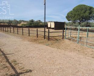 Finca rústica en venda en Almonte amb Jardí privat