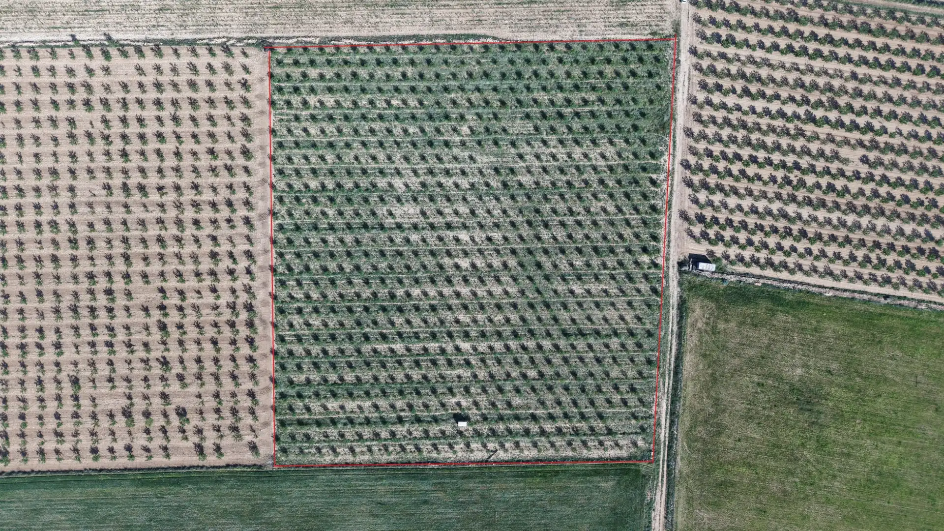 Residential land for sale in Yecla, imagen 11