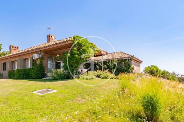 Casa-chalet en Alquiler en Cam. Conejeros en Monteclaro
