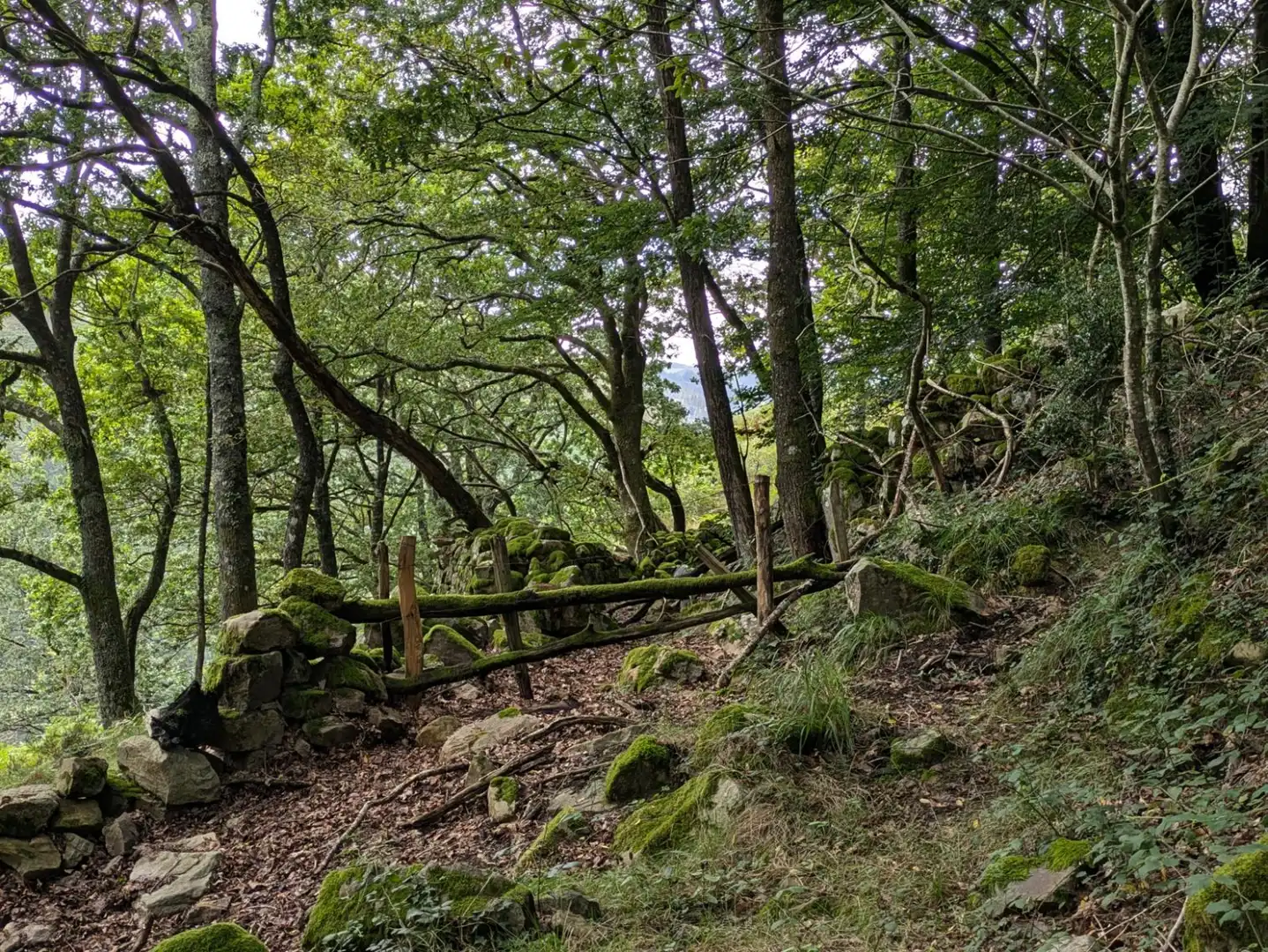 Garten von Geschaftsraum zum Verkauf in Vega de Pas