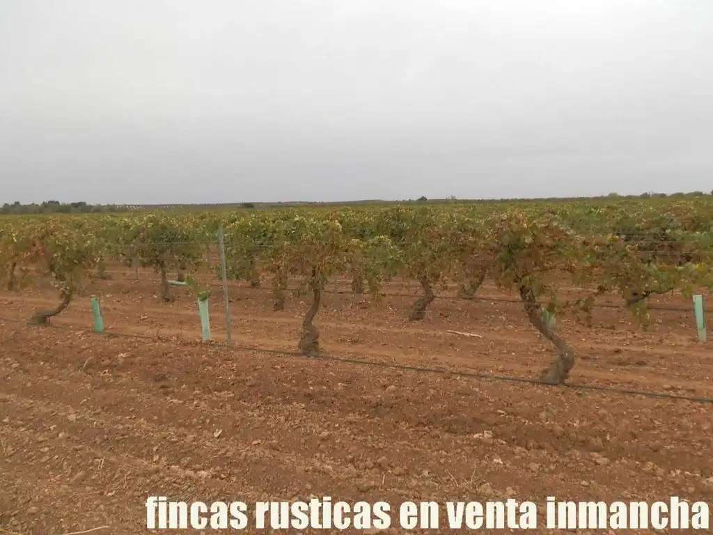 Grundstücke und Bauplätze zum Verkauf in Malagón, imagen 12