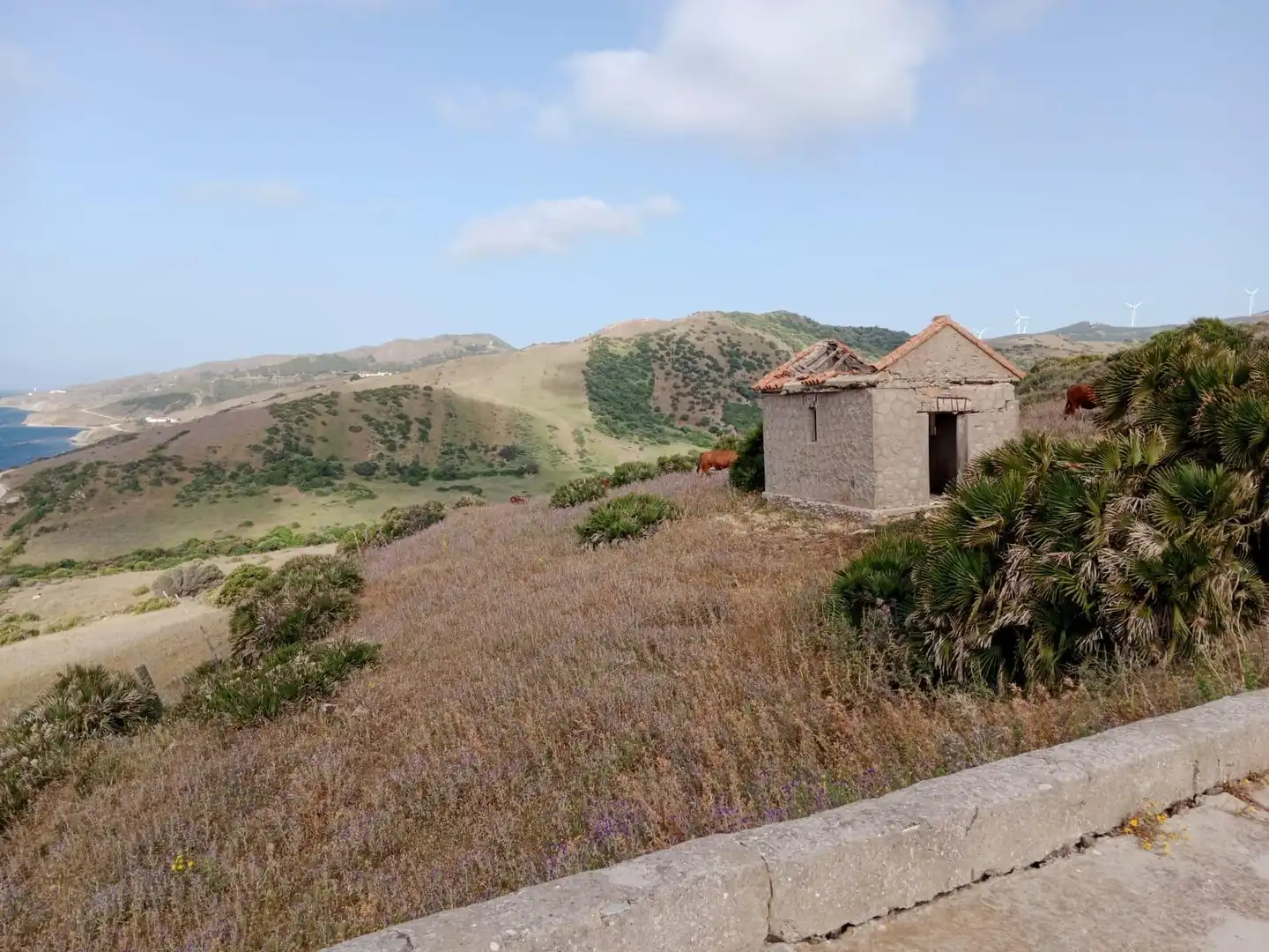 Country homes for sale in Tarifa