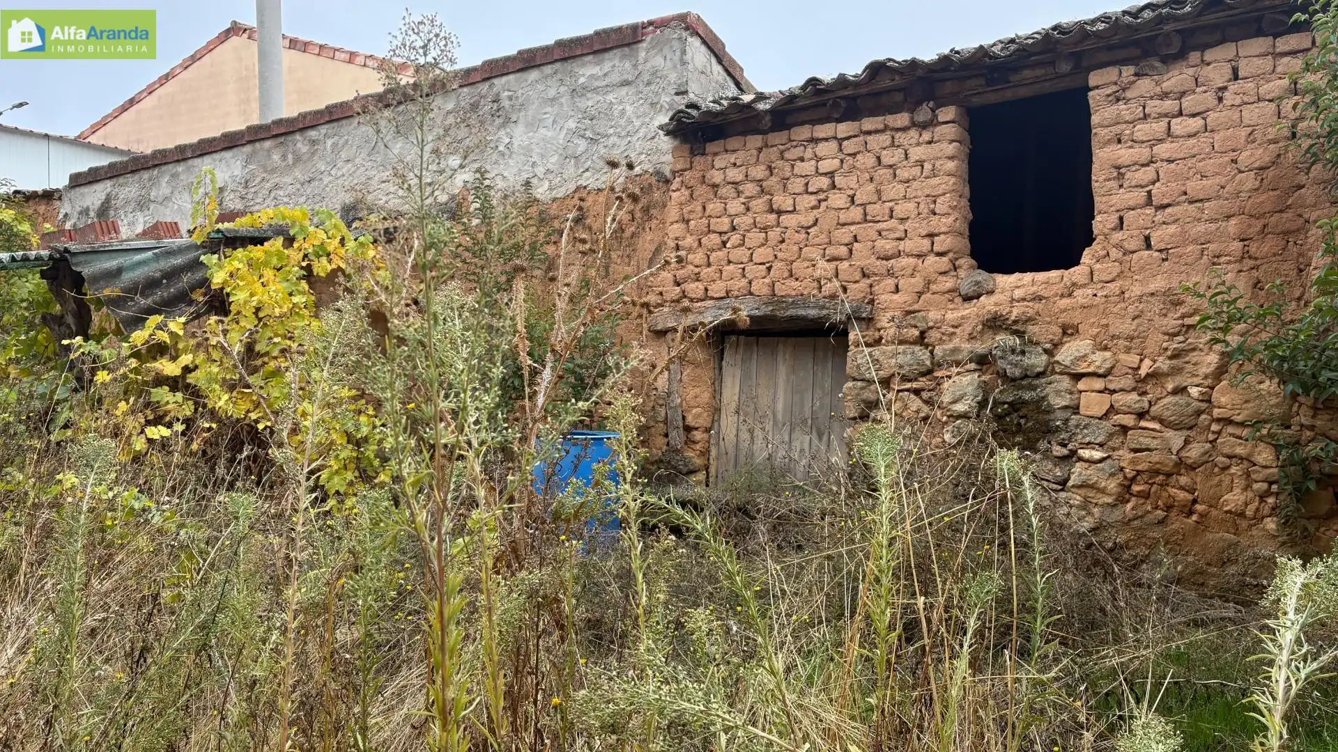Vista exterior de Finca rústica en venta en Aranda de Duero con Jardín privado