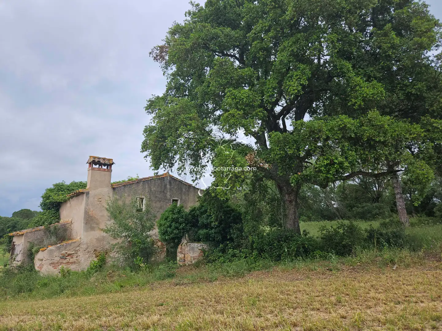 Country house zum Verkauf in Maçanet de la Selva