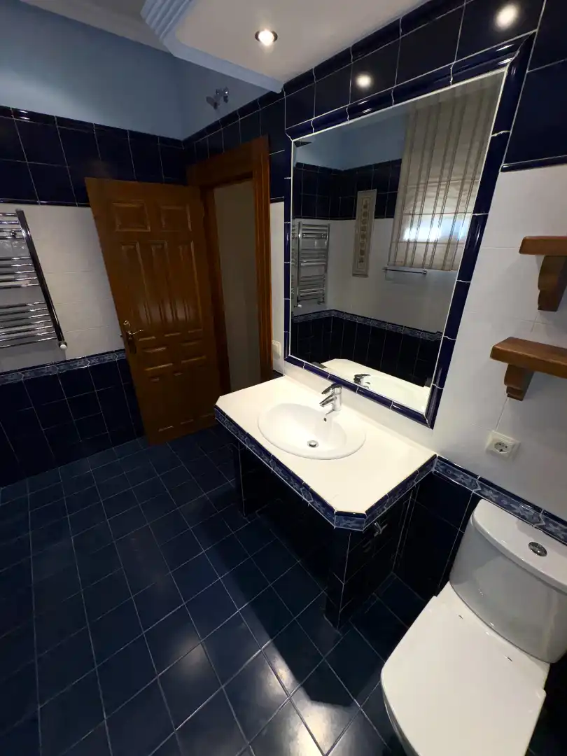 Baño de Nave industrial en venta en Cedillo del Condado con Alarma