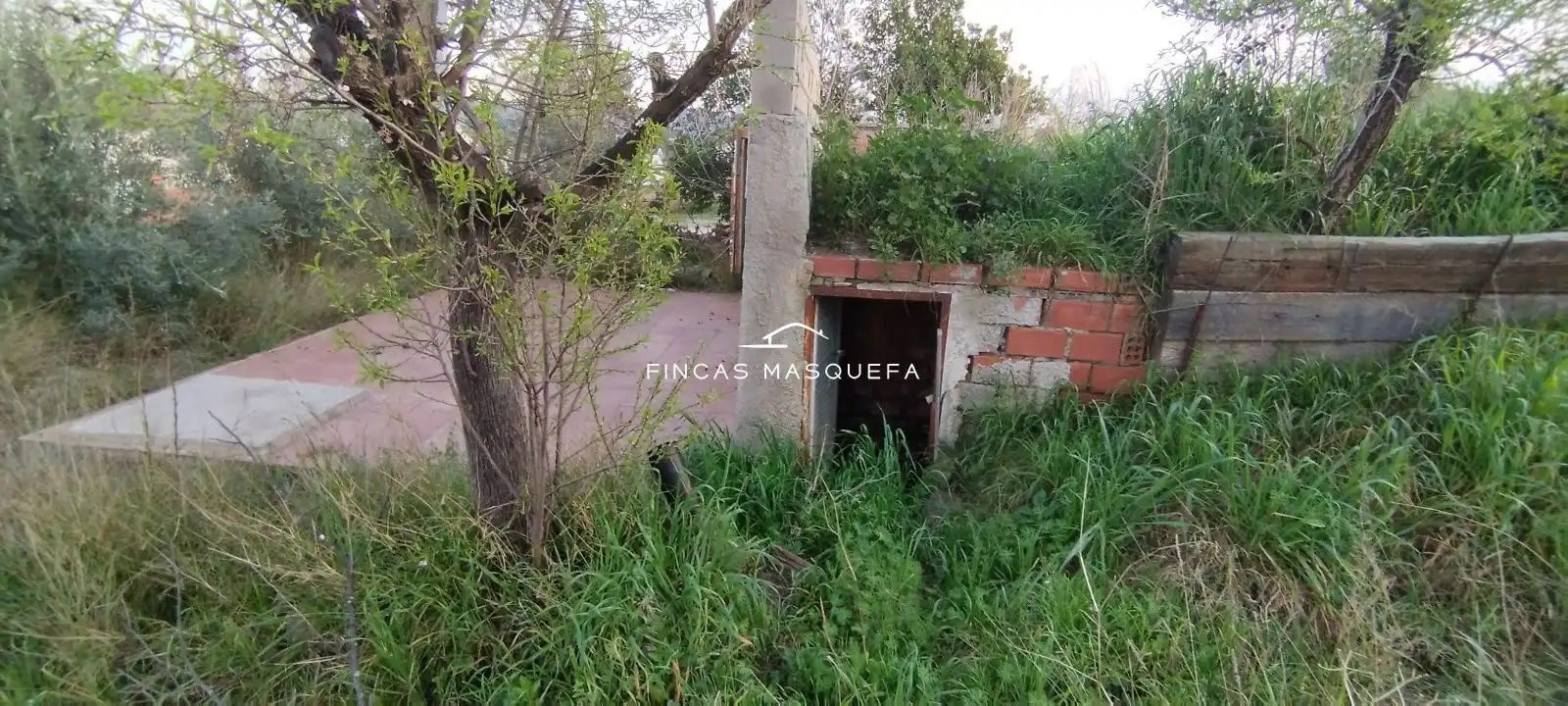 Land for sale in Masquefa