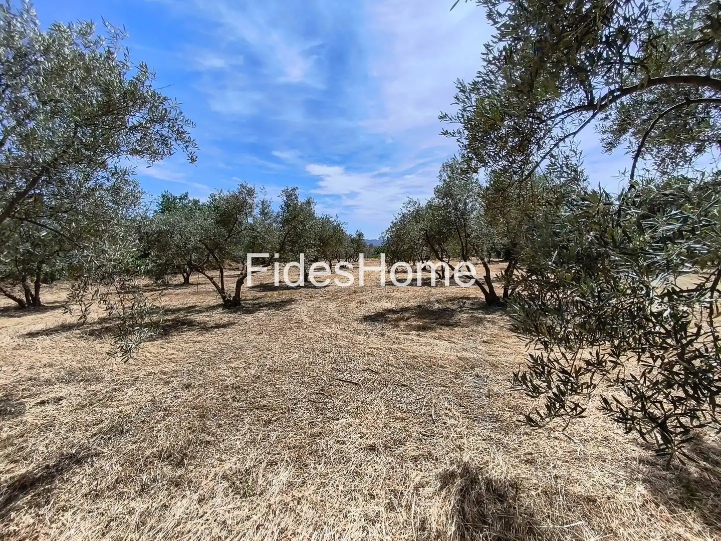 Rural land for sale in XFJ3+526 Nigüelas 0, imagen 23