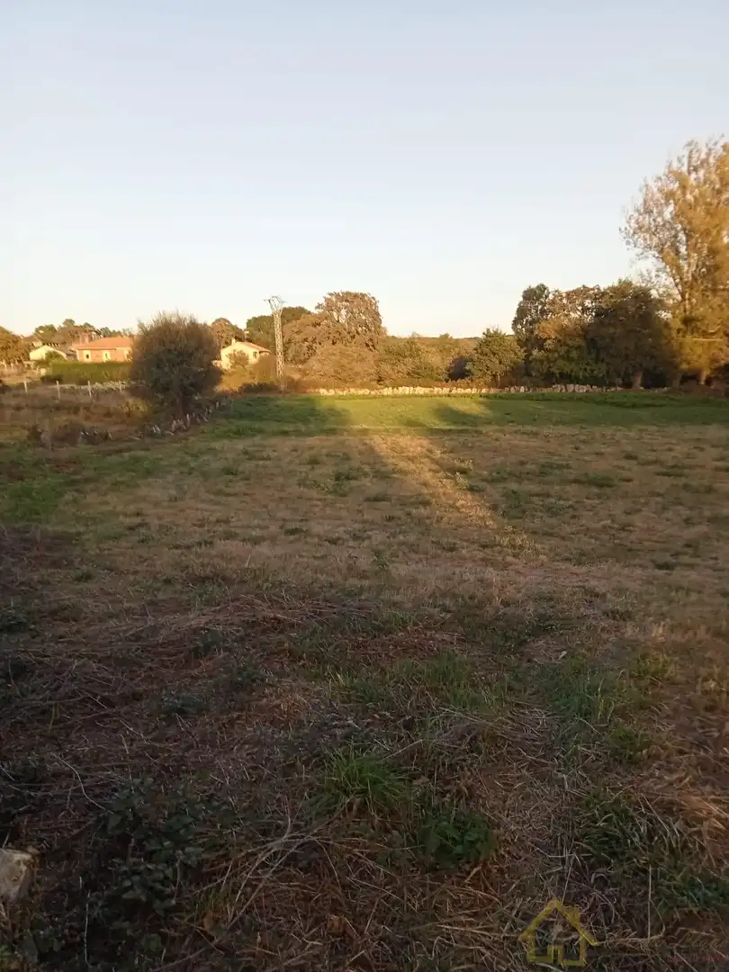 Terreni e lotti in vendita a Silvarei, imagen 2
