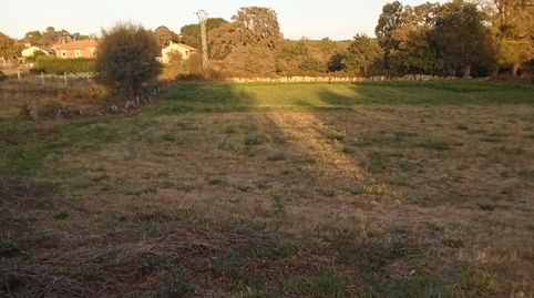 Outeiro de ReiTerreno, imatge 2