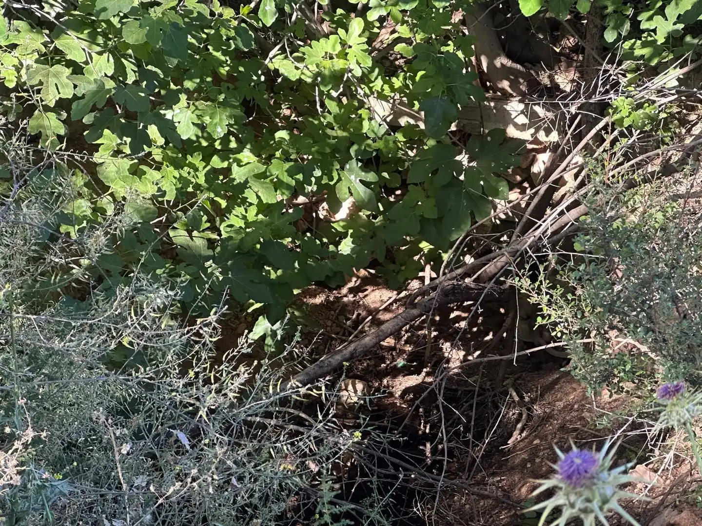 Terreni e lotti in vendita a Atarfe, imagen 32