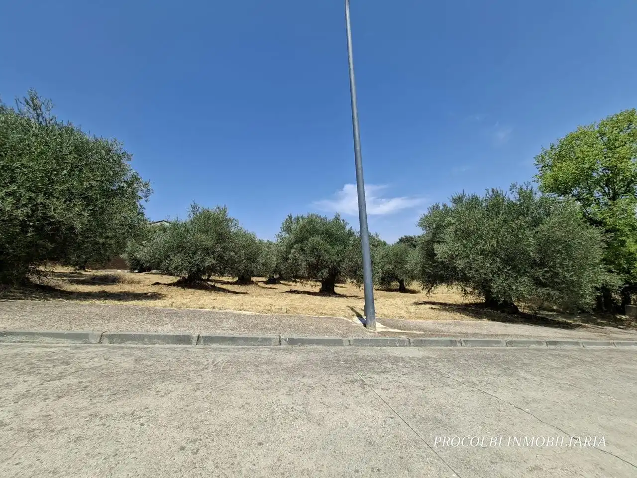 Lands and plots for sale in Calle Río Tajuña 1676, imagen 12