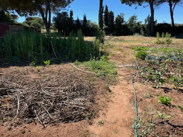 Finca rústica en venta en Vejer de la Frontera