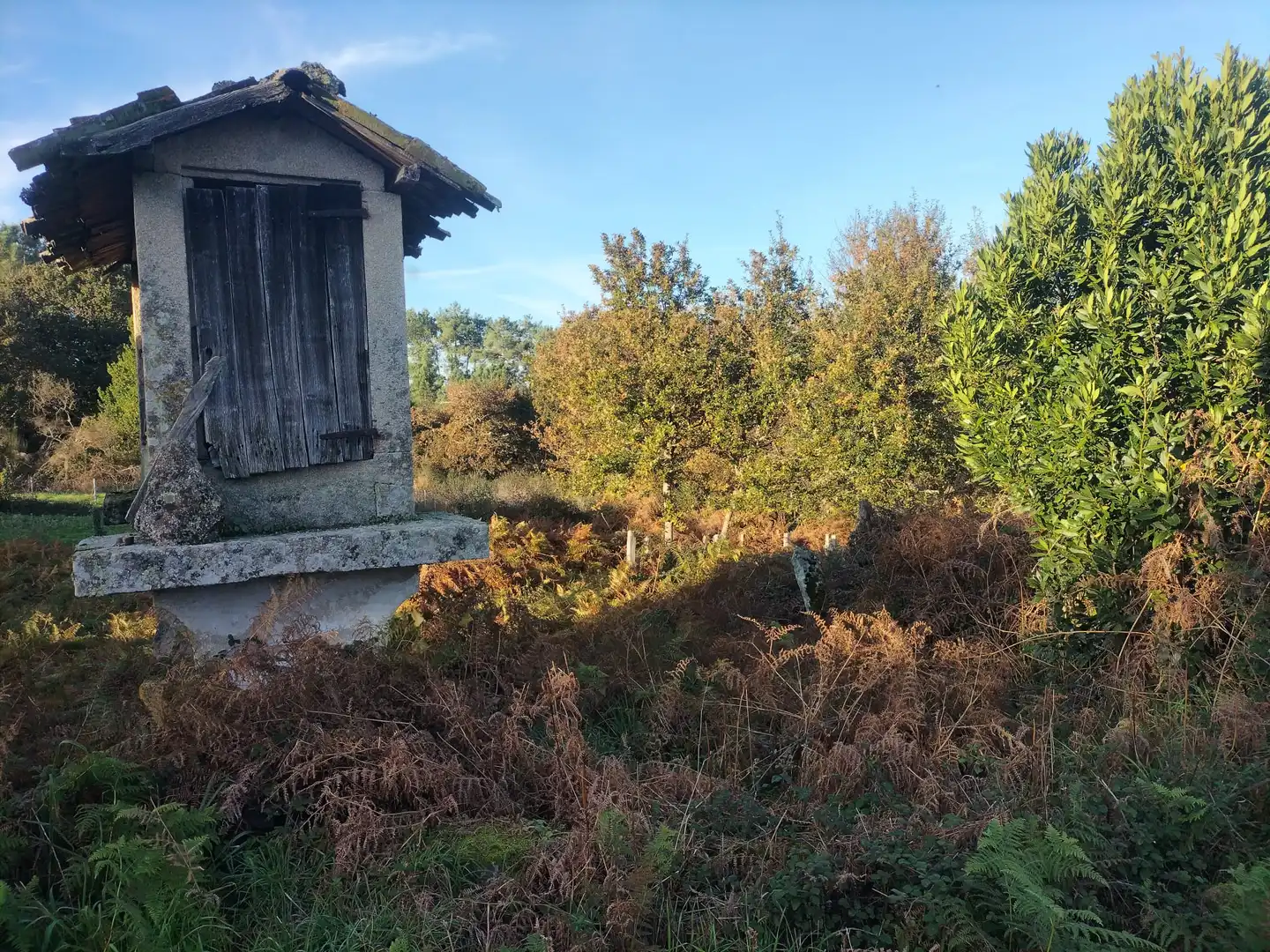 Country homes for sale in Amoeiro  with Private garden