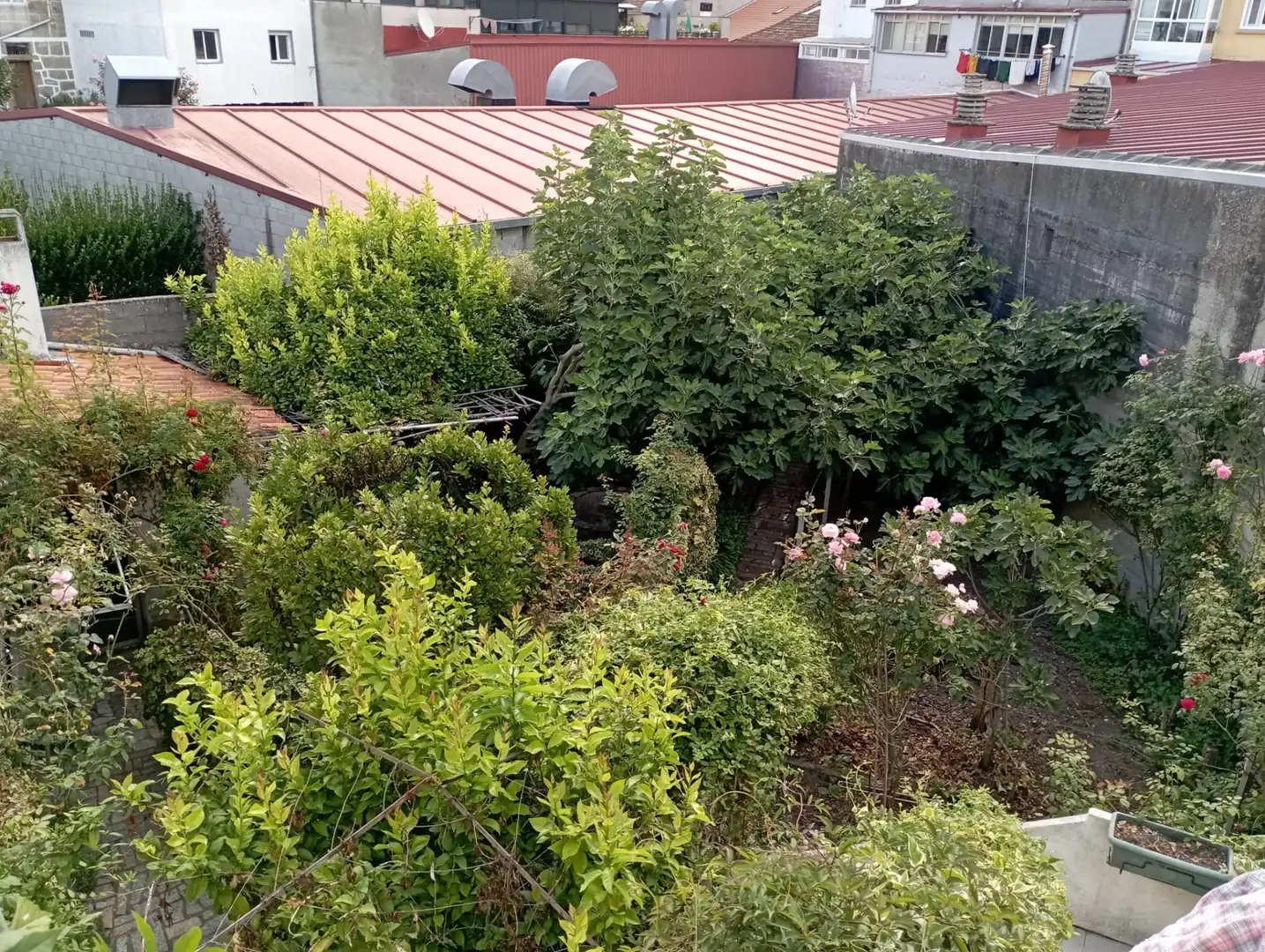 Casa amb terrassa en venda a Praza Maior, imagen 8