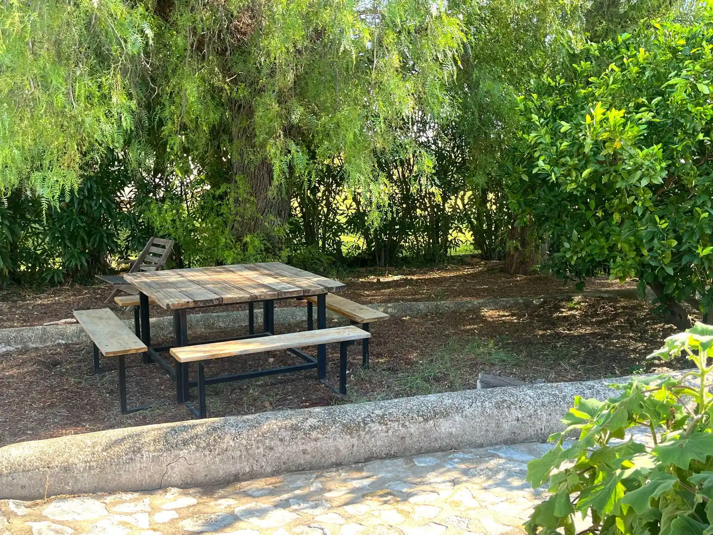 Casa amb jardí en venda a Santa Ana, imagen 8