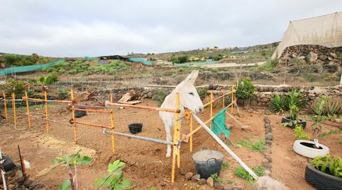 Foto 4 de Finca rústica en venda a Chío, Santa Cruz de Tenerife