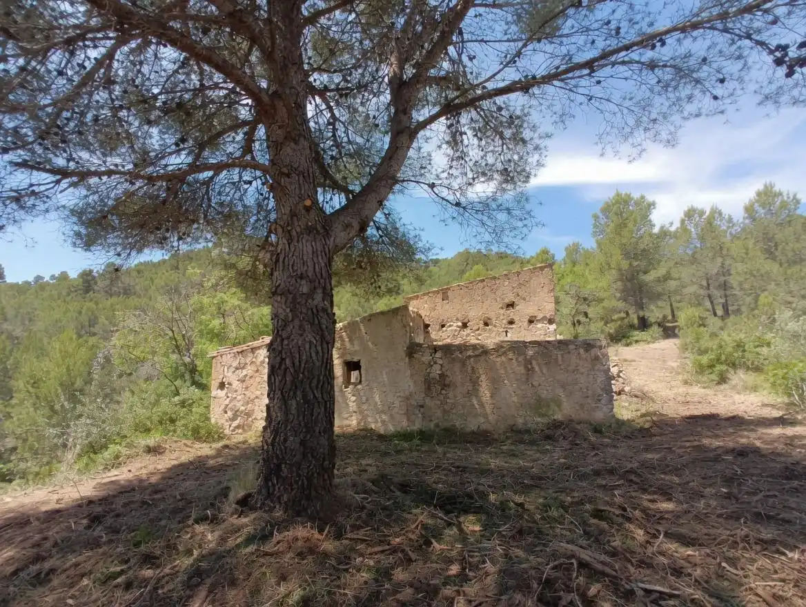 Finca rústica en venda en Tivissa