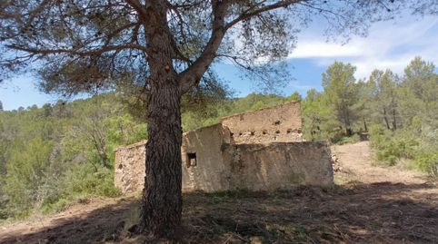 Foto 2 de Finca rústica en venda a Tivissa, Tarragona