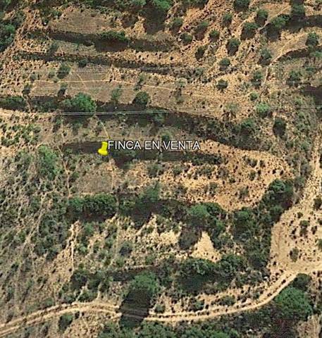 Terreno en Venta en Teresa de Cofrentes