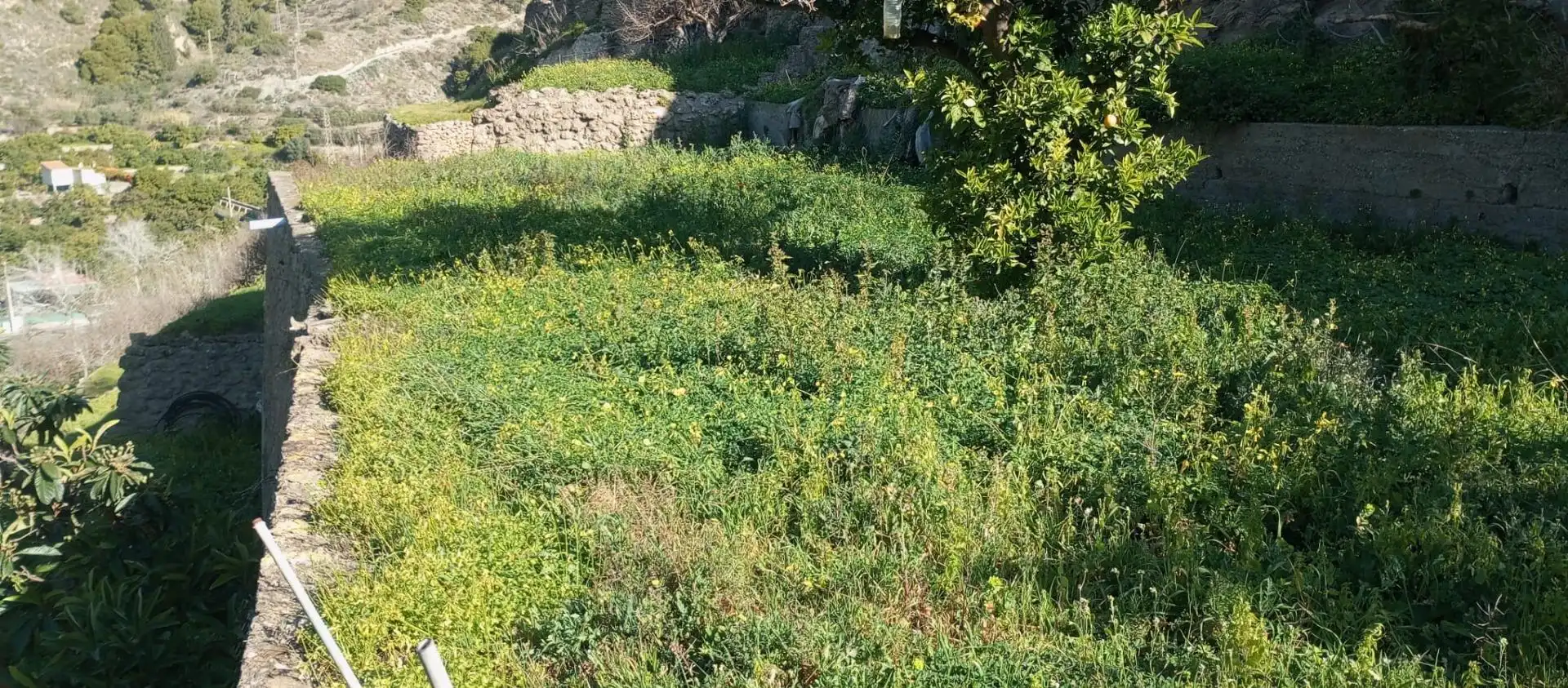 Casa rústica amb jardí en venda a Vélez de Benaudalla, imagen 7