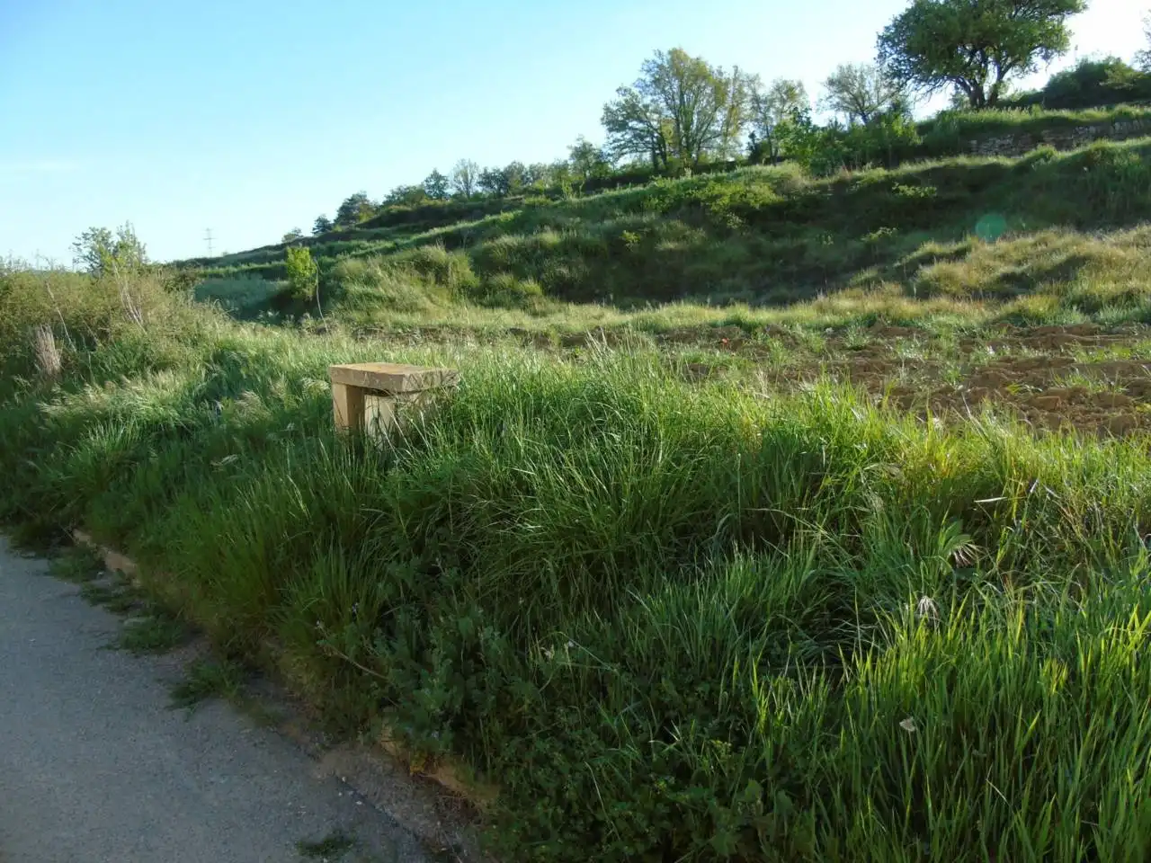 Terrain rustique à vendre à Castellterçol, imagen 18