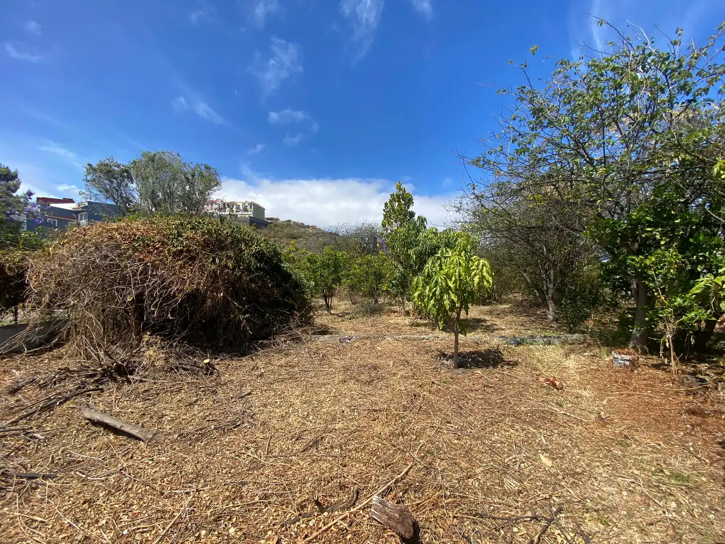 Residential land for sale in Camino la Cueva del Rey 8, imagen 18
