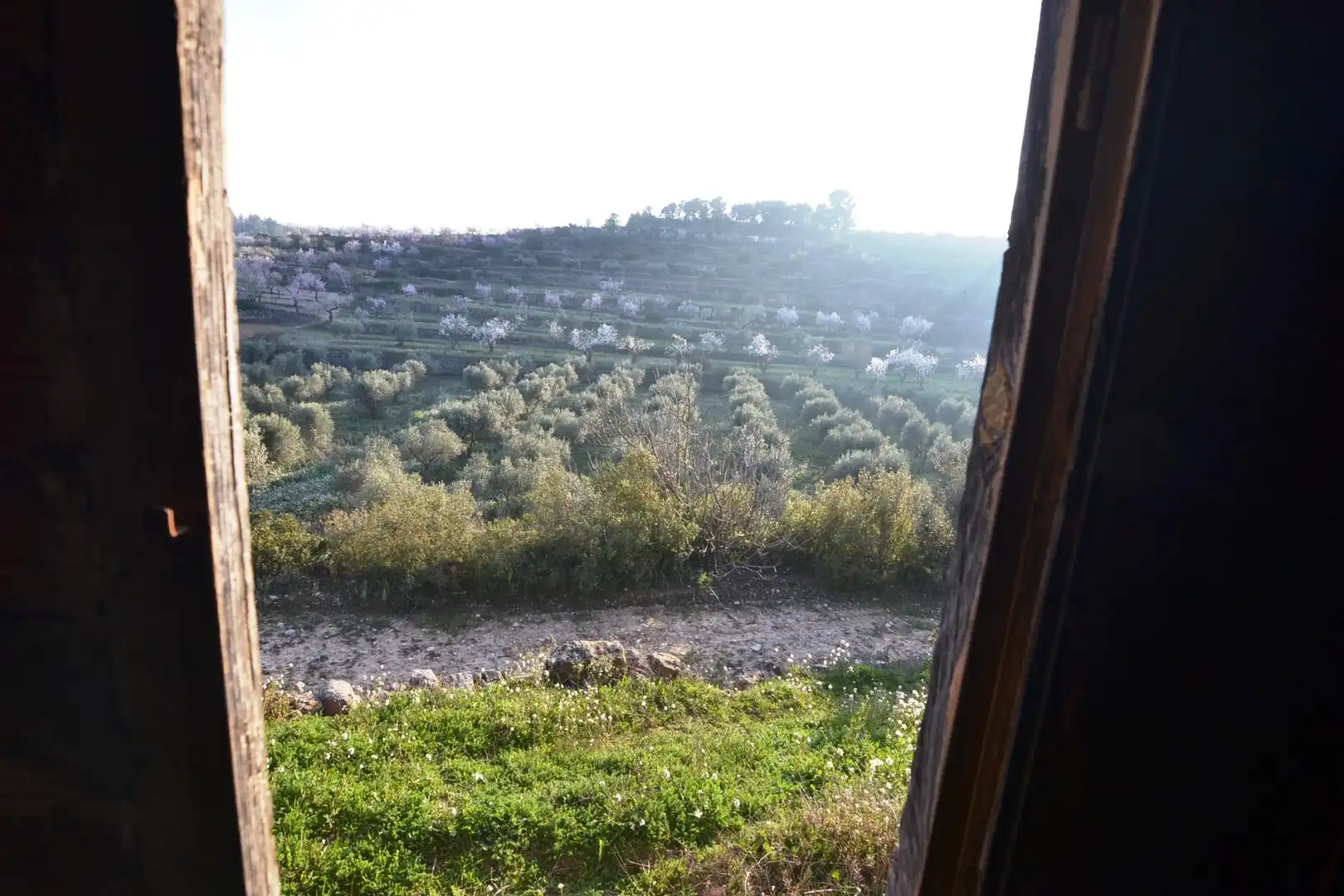 Rural land for sale in Corbera d'Ebre, imagen 50