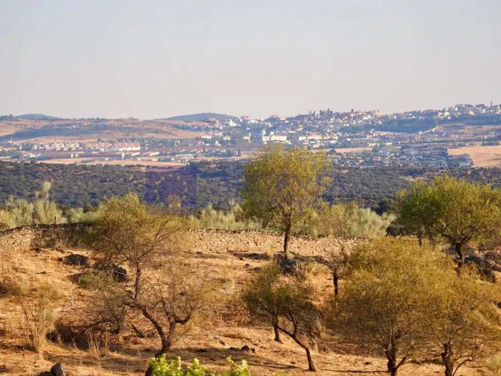 Casa o xalet en venda a Mejostilla