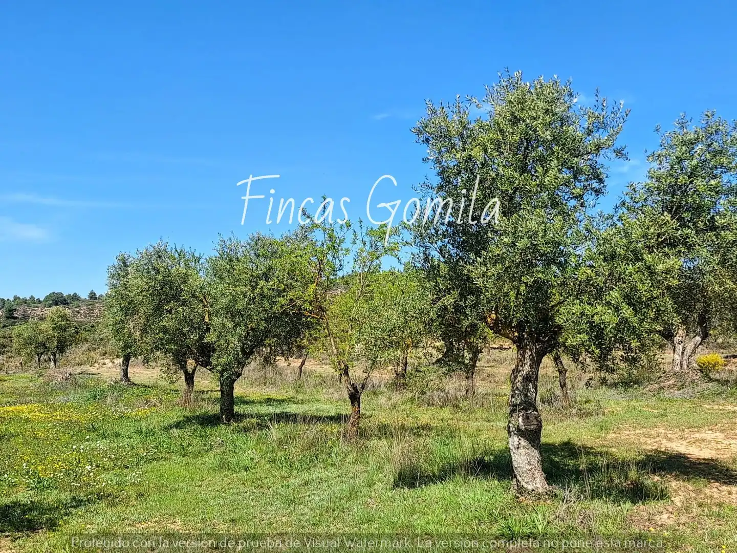 Rural land for sale in 8, imagen 15
