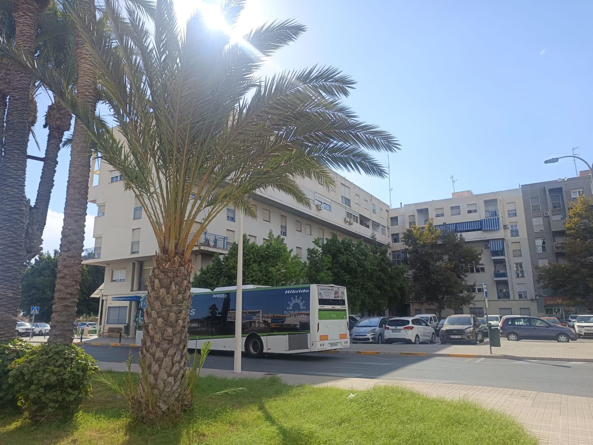 Vista exterior de Planta baja en venta en Elche / Elx con Aire acondicionado, Terraza y Balcón