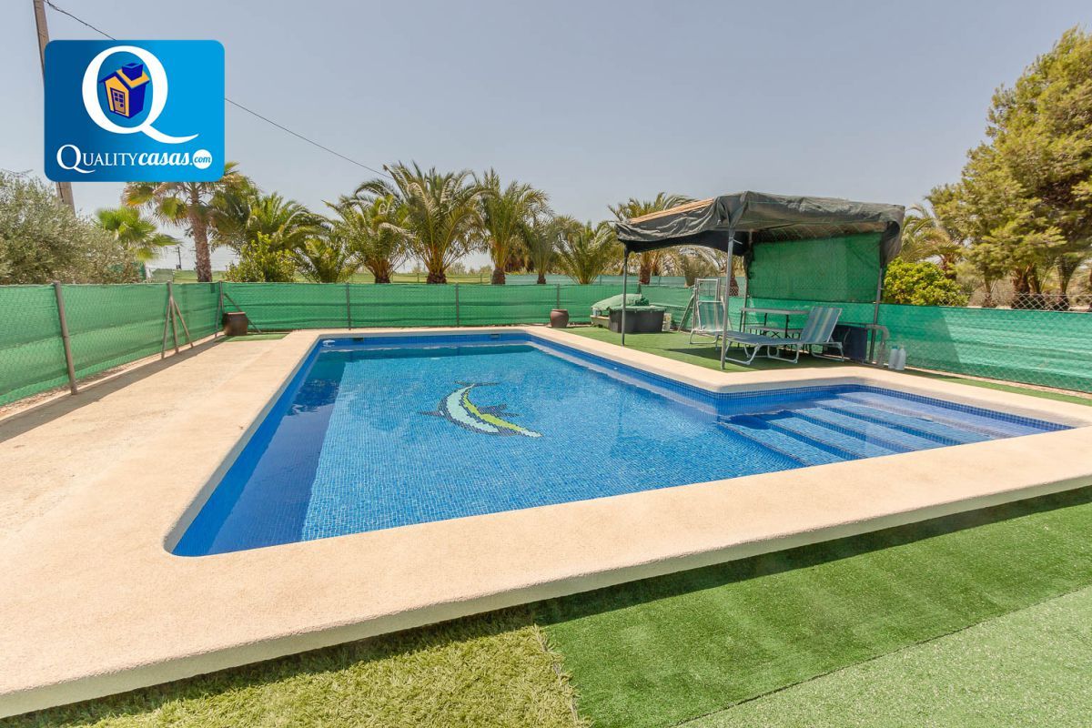 Swimming pool of House or chalet for sale in Crevillent  with Air Conditioner and Terrace
