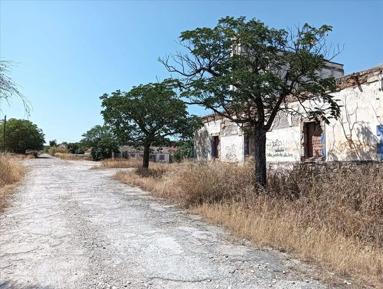 Terreni e lotti in vendita a *